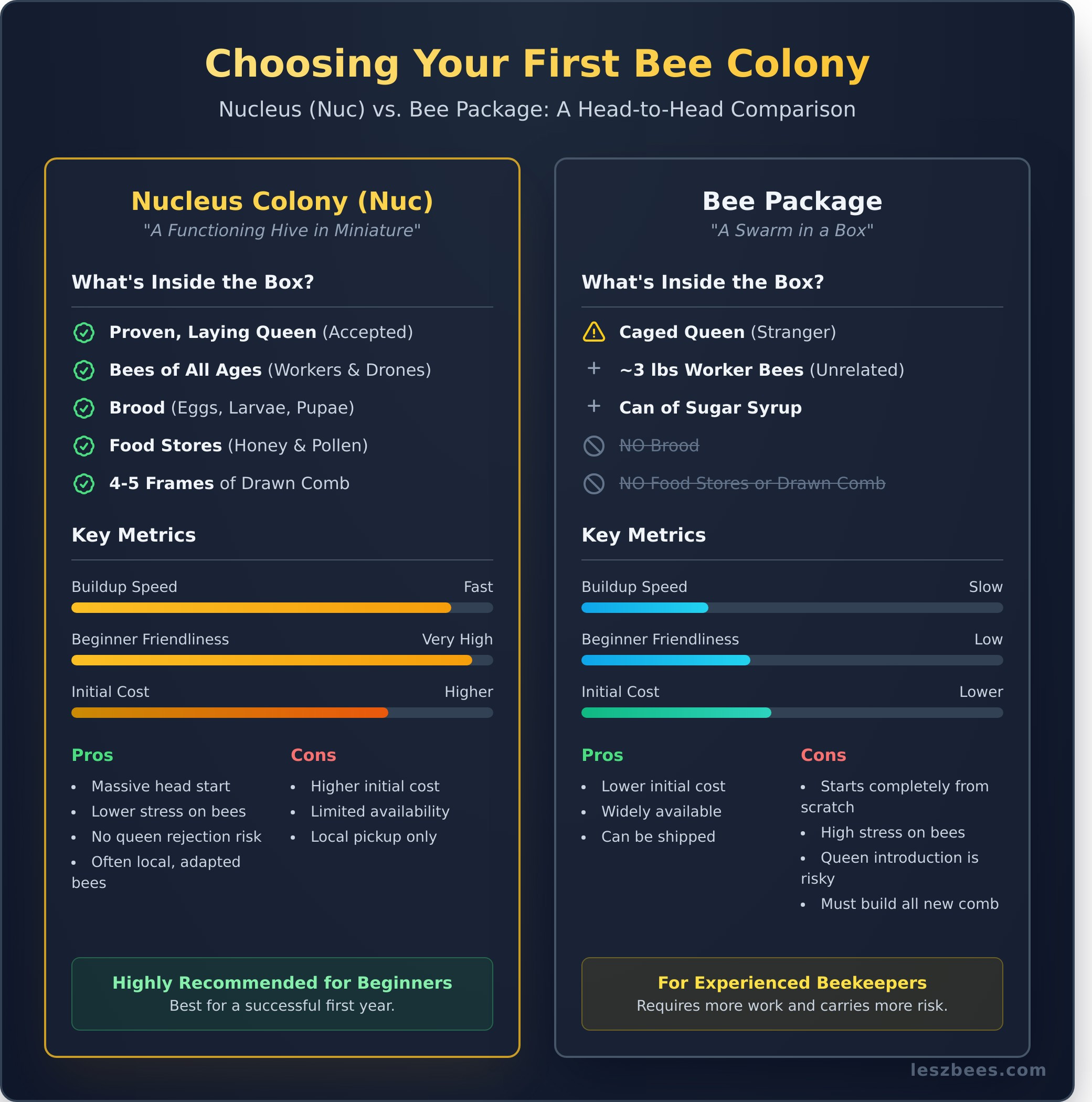 Buy a Bee Colony: What to Expect in Your Order - Infographic